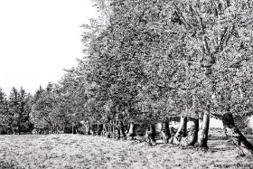 Paustenbach - Impression.jpg