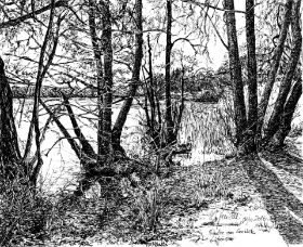 Lütjensee Am Seeufer.JPG