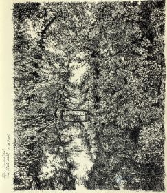 Köln, Stadtwald.JPG