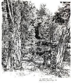 Köln-Lindenthal, Dürener-Kitschburger Str.JPG