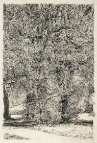 Köln - Beethovenpark b.JPG